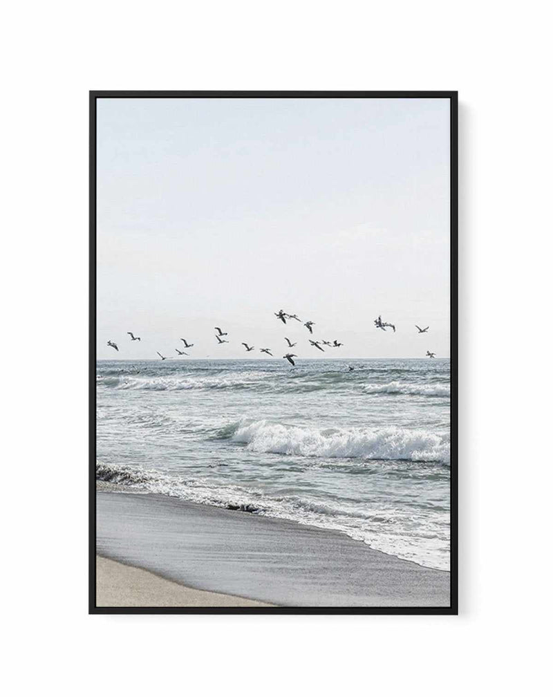 Coastal Birds | Framed Canvas-CANVAS-You can shop wall art online with Olive et Oriel for everything from abstract art to fun kids wall art. Our beautiful modern art prints and canvas art are available from large canvas prints to wall art paintings and our proudly Australian artwork collection offers only the highest quality framed large wall art and canvas art Australia - You can buy fashion photography prints or Hampton print posters and paintings on canvas from Olive et Oriel and have them de