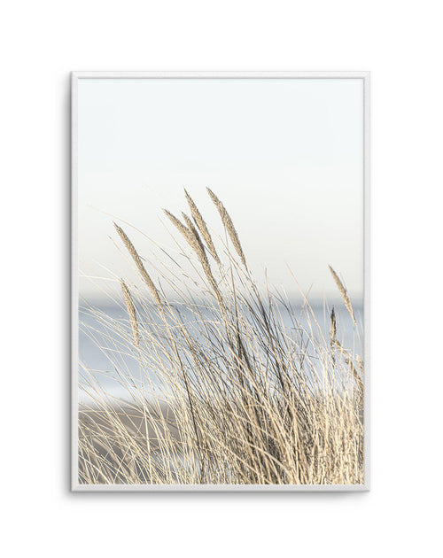 Coastal Grass Art Print-PRINT-Olive et Oriel-Olive et Oriel-A5 | 5.8" x 8.3" | 14.8 x 21cm-Unframed Art Print-With White Border-Buy-Australian-Art-Prints-Online-with-Olive-et-Oriel-Your-Artwork-Specialists-Austrailia-Decorate-With-Coastal-Photo-Wall-Art-Prints-From-Our-Beach-House-Artwork-Collection-Fine-Poster-and-Framed-Artwork