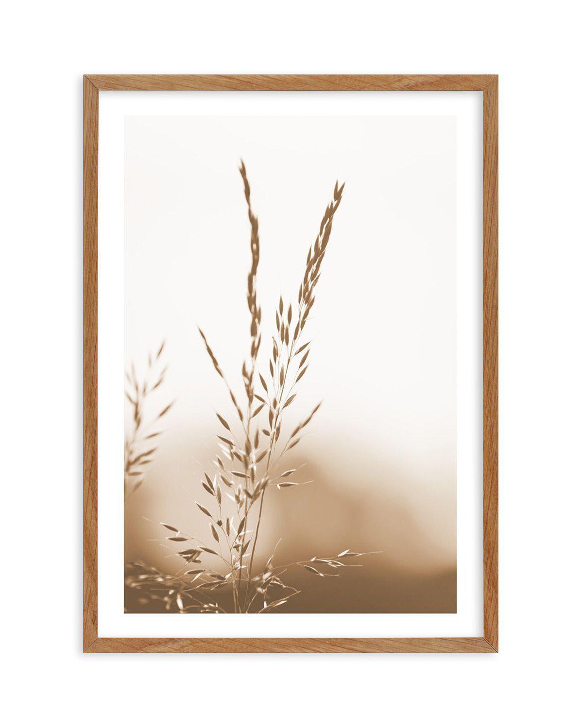 Coastal Grass Art Print-PRINT-Olive et Oriel-Olive et Oriel-Buy-Australian-Art-Prints-Online-with-Olive-et-Oriel-Your-Artwork-Specialists-Austrailia-Decorate-With-Coastal-Photo-Wall-Art-Prints-From-Our-Beach-House-Artwork-Collection-Fine-Poster-and-Framed-Artwork