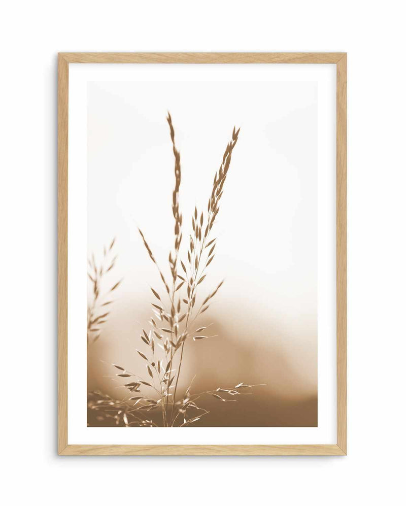 Coastal Grass Art Print-PRINT-Olive et Oriel-Olive et Oriel-A5 | 5.8" x 8.3" | 14.8 x 21cm-Oak-With White Border-Buy-Australian-Art-Prints-Online-with-Olive-et-Oriel-Your-Artwork-Specialists-Austrailia-Decorate-With-Coastal-Photo-Wall-Art-Prints-From-Our-Beach-House-Artwork-Collection-Fine-Poster-and-Framed-Artwork