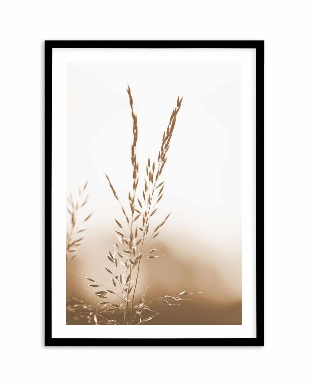 Coastal Grass Art Print-PRINT-Olive et Oriel-Olive et Oriel-A5 | 5.8" x 8.3" | 14.8 x 21cm-Black-With White Border-Buy-Australian-Art-Prints-Online-with-Olive-et-Oriel-Your-Artwork-Specialists-Austrailia-Decorate-With-Coastal-Photo-Wall-Art-Prints-From-Our-Beach-House-Artwork-Collection-Fine-Poster-and-Framed-Artwork