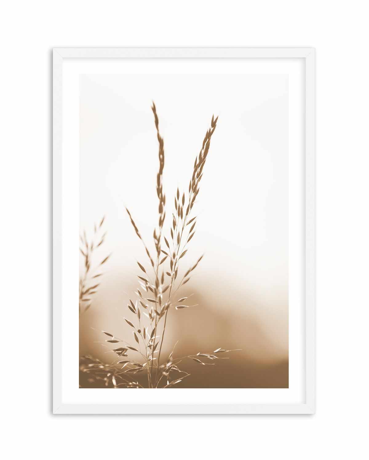 Coastal Grass Art Print-PRINT-Olive et Oriel-Olive et Oriel-A5 | 5.8" x 8.3" | 14.8 x 21cm-White-With White Border-Buy-Australian-Art-Prints-Online-with-Olive-et-Oriel-Your-Artwork-Specialists-Austrailia-Decorate-With-Coastal-Photo-Wall-Art-Prints-From-Our-Beach-House-Artwork-Collection-Fine-Poster-and-Framed-Artwork