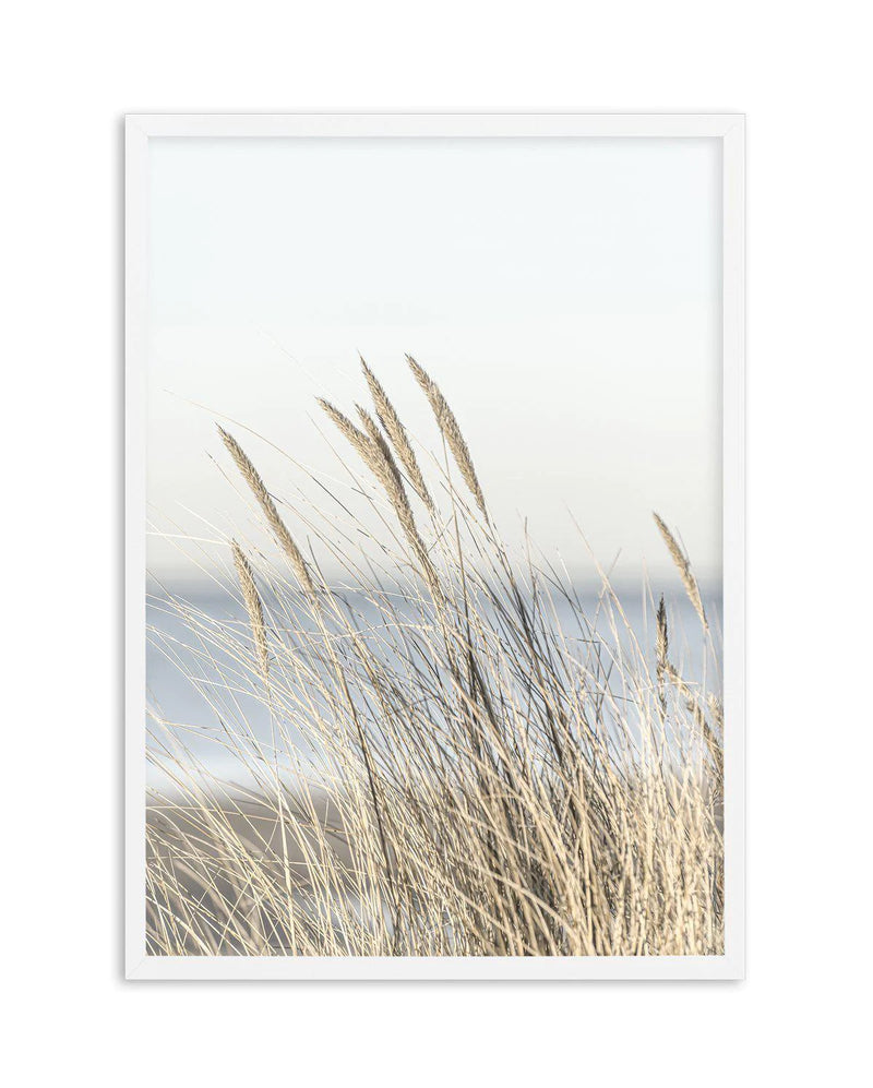 SALE 50x70 Coastal Grass | White | Framed Acrylic Art