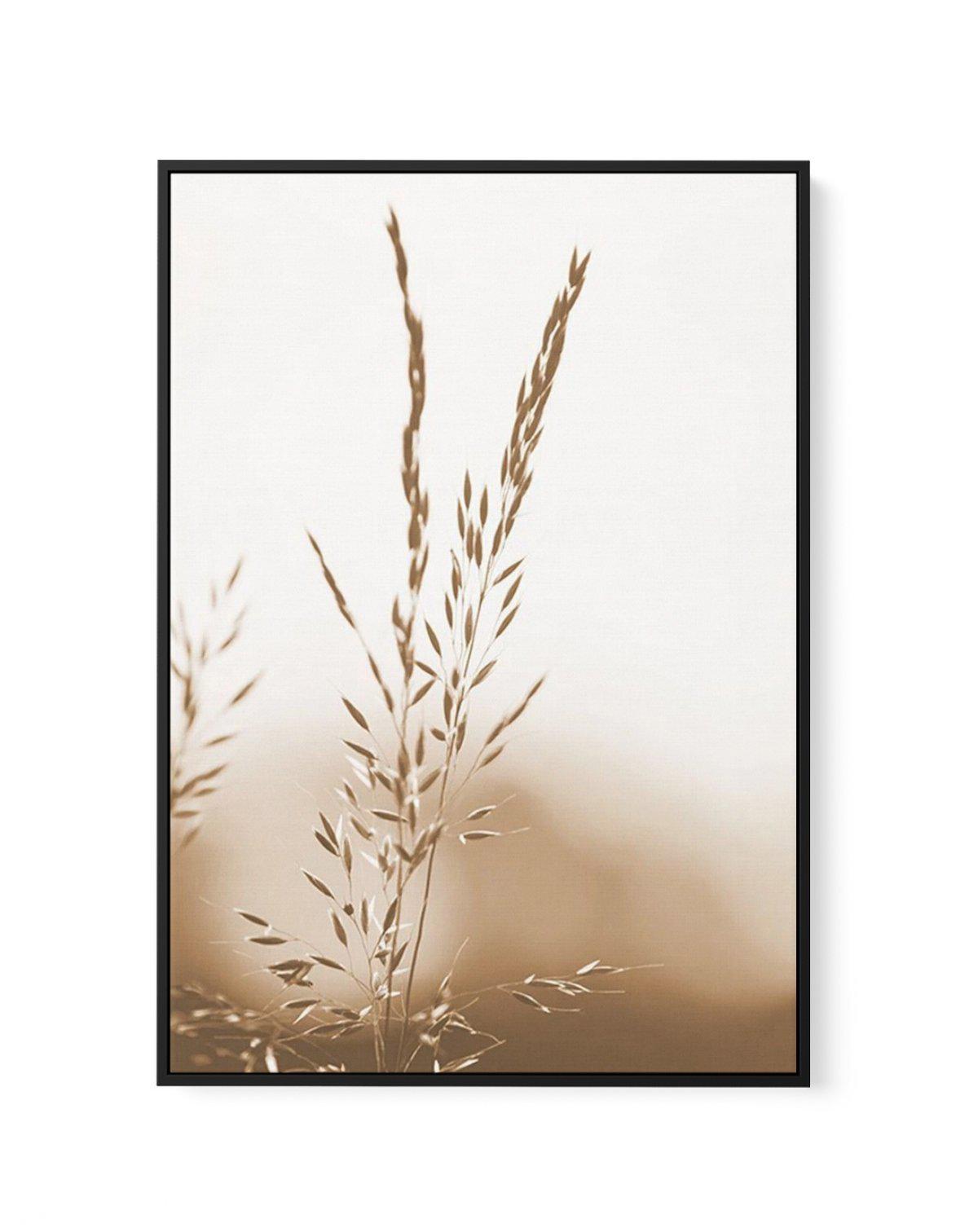 Coastal Grass | Framed Canvas-CANVAS-You can shop wall art online with Olive et Oriel for everything from abstract art to fun kids wall art. Our beautiful modern art prints and canvas art are available from large canvas prints to wall art paintings and our proudly Australian artwork collection offers only the highest quality framed large wall art and canvas art Australia - You can buy fashion photography prints or Hampton print posters and paintings on canvas from Olive et Oriel and have them de