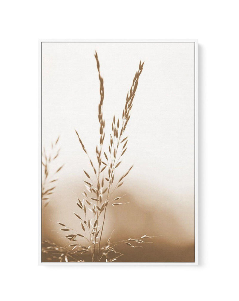 Coastal Grass | Framed Canvas-CANVAS-You can shop wall art online with Olive et Oriel for everything from abstract art to fun kids wall art. Our beautiful modern art prints and canvas art are available from large canvas prints to wall art paintings and our proudly Australian artwork collection offers only the highest quality framed large wall art and canvas art Australia - You can buy fashion photography prints or Hampton print posters and paintings on canvas from Olive et Oriel and have them de