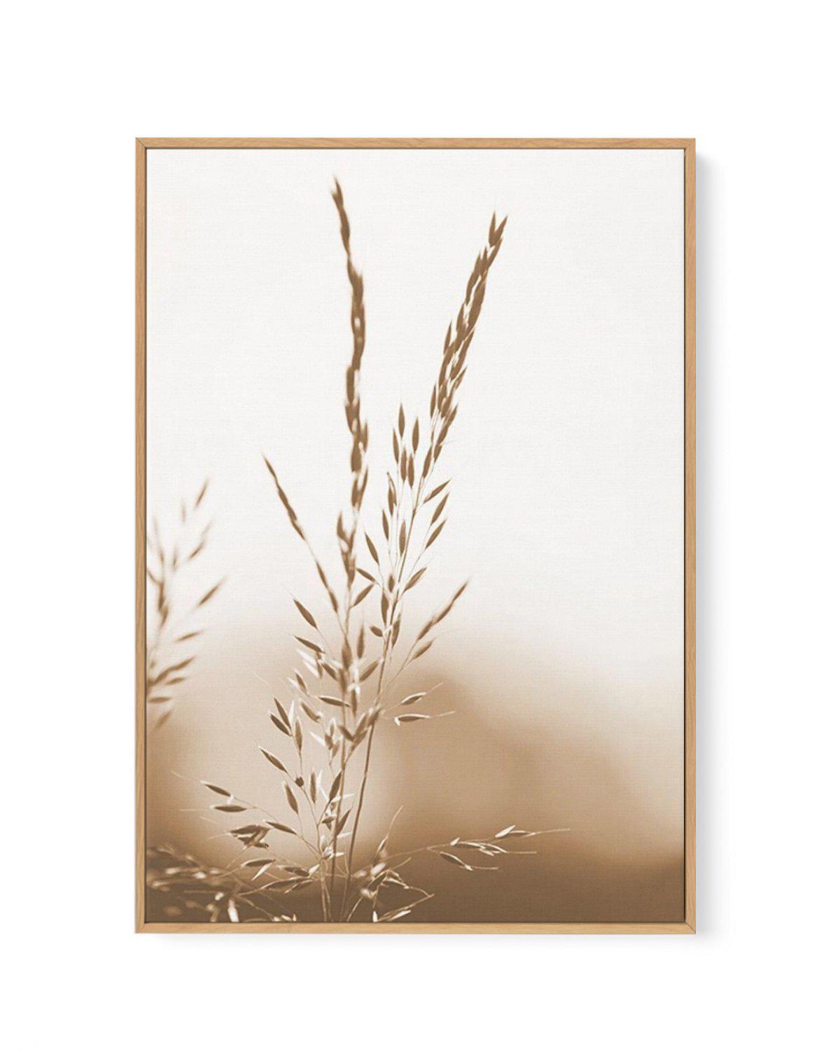 Coastal Grass | Framed Canvas-CANVAS-You can shop wall art online with Olive et Oriel for everything from abstract art to fun kids wall art. Our beautiful modern art prints and canvas art are available from large canvas prints to wall art paintings and our proudly Australian artwork collection offers only the highest quality framed large wall art and canvas art Australia - You can buy fashion photography prints or Hampton print posters and paintings on canvas from Olive et Oriel and have them de