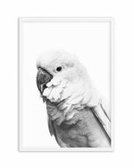 Cockatoo | B&W Art Print-PRINT-Olive et Oriel-Olive et Oriel-A5 | 5.8" x 8.3" | 14.8 x 21cm-White-With White Border-Buy-Australian-Art-Prints-Online-with-Olive-et-Oriel-Your-Artwork-Specialists-Austrailia-Decorate-With-Coastal-Photo-Wall-Art-Prints-From-Our-Beach-House-Artwork-Collection-Fine-Poster-and-Framed-Artwork