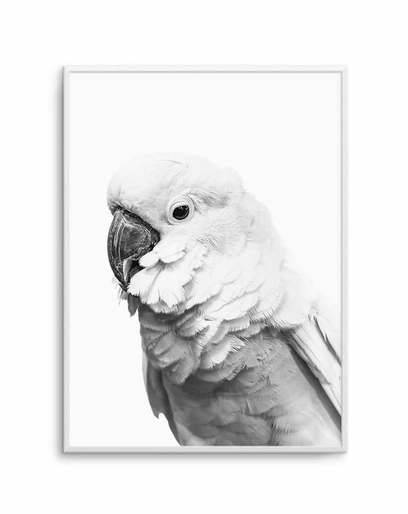 Cockatoo | B&W Art Print-PRINT-Olive et Oriel-Olive et Oriel-A5 | 5.8" x 8.3" | 14.8 x 21cm-Unframed Art Print-With White Border-Buy-Australian-Art-Prints-Online-with-Olive-et-Oriel-Your-Artwork-Specialists-Austrailia-Decorate-With-Coastal-Photo-Wall-Art-Prints-From-Our-Beach-House-Artwork-Collection-Fine-Poster-and-Framed-Artwork