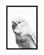 Cockatoo | B&W Art Print-PRINT-Olive et Oriel-Olive et Oriel-A5 | 5.8" x 8.3" | 14.8 x 21cm-Black-With White Border-Buy-Australian-Art-Prints-Online-with-Olive-et-Oriel-Your-Artwork-Specialists-Austrailia-Decorate-With-Coastal-Photo-Wall-Art-Prints-From-Our-Beach-House-Artwork-Collection-Fine-Poster-and-Framed-Artwork