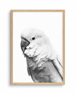 Cockatoo | B&W Art Print-PRINT-Olive et Oriel-Olive et Oriel-A5 | 5.8" x 8.3" | 14.8 x 21cm-Oak-With White Border-Buy-Australian-Art-Prints-Online-with-Olive-et-Oriel-Your-Artwork-Specialists-Austrailia-Decorate-With-Coastal-Photo-Wall-Art-Prints-From-Our-Beach-House-Artwork-Collection-Fine-Poster-and-Framed-Artwork