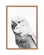 Cockatoo | B&W Art Print-PRINT-Olive et Oriel-Olive et Oriel-50x70 cm | 19.6" x 27.5"-Walnut-With White Border-Buy-Australian-Art-Prints-Online-with-Olive-et-Oriel-Your-Artwork-Specialists-Austrailia-Decorate-With-Coastal-Photo-Wall-Art-Prints-From-Our-Beach-House-Artwork-Collection-Fine-Poster-and-Framed-Artwork