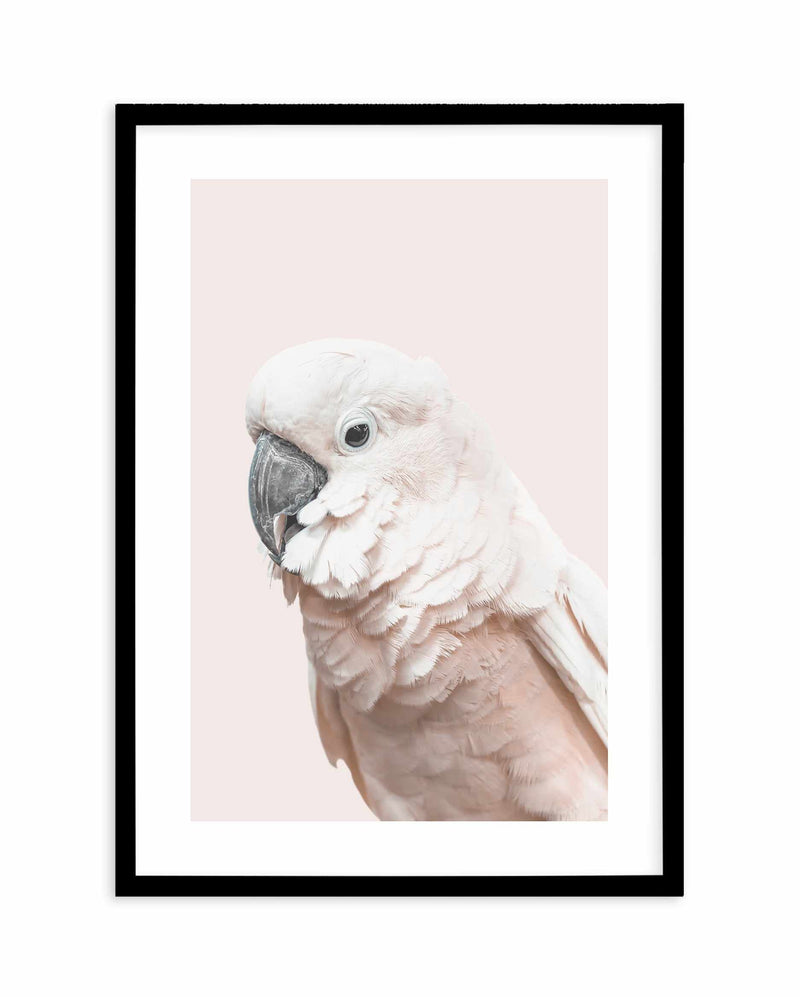 Cockatoo on Blush Art Print-PRINT-Olive et Oriel-Olive et Oriel-A5 | 5.8" x 8.3" | 14.8 x 21cm-Black-With White Border-Buy-Australian-Art-Prints-Online-with-Olive-et-Oriel-Your-Artwork-Specialists-Austrailia-Decorate-With-Coastal-Photo-Wall-Art-Prints-From-Our-Beach-House-Artwork-Collection-Fine-Poster-and-Framed-Artwork