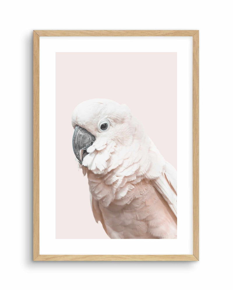 Cockatoo on Blush Art Print-PRINT-Olive et Oriel-Olive et Oriel-A5 | 5.8" x 8.3" | 14.8 x 21cm-Oak-With White Border-Buy-Australian-Art-Prints-Online-with-Olive-et-Oriel-Your-Artwork-Specialists-Austrailia-Decorate-With-Coastal-Photo-Wall-Art-Prints-From-Our-Beach-House-Artwork-Collection-Fine-Poster-and-Framed-Artwork