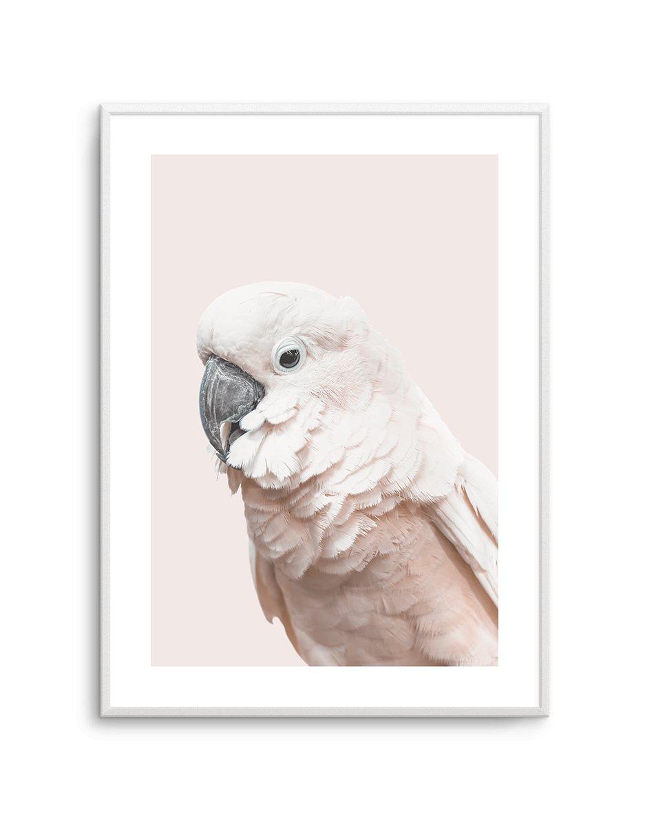 Cockatoo on Blush Background | Pink Bird Photographic Art Poster ...