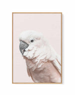 Cockatoo on Blush | Framed Canvas