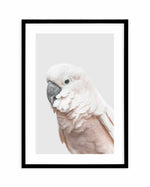 Cockatoo on Grey Art Print-PRINT-Olive et Oriel-Olive et Oriel-A5 | 5.8" x 8.3" | 14.8 x 21cm-Black-With White Border-Buy-Australian-Art-Prints-Online-with-Olive-et-Oriel-Your-Artwork-Specialists-Austrailia-Decorate-With-Coastal-Photo-Wall-Art-Prints-From-Our-Beach-House-Artwork-Collection-Fine-Poster-and-Framed-Artwork