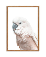 Cockatoo on White Art Print-PRINT-Olive et Oriel-Olive et Oriel-50x70 cm | 19.6" x 27.5"-Walnut-With White Border-Buy-Australian-Art-Prints-Online-with-Olive-et-Oriel-Your-Artwork-Specialists-Austrailia-Decorate-With-Coastal-Photo-Wall-Art-Prints-From-Our-Beach-House-Artwork-Collection-Fine-Poster-and-Framed-Artwork