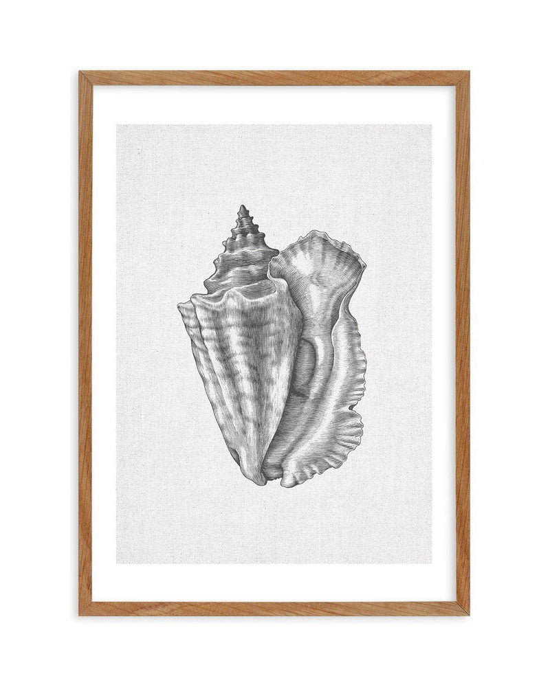 Conch Shell on Linen Art Print-PRINT-Olive et Oriel-Olive et Oriel-50x70 cm | 19.6" x 27.5"-Walnut-With White Border-Buy-Australian-Art-Prints-Online-with-Olive-et-Oriel-Your-Artwork-Specialists-Austrailia-Decorate-With-Coastal-Photo-Wall-Art-Prints-From-Our-Beach-House-Artwork-Collection-Fine-Poster-and-Framed-Artwork