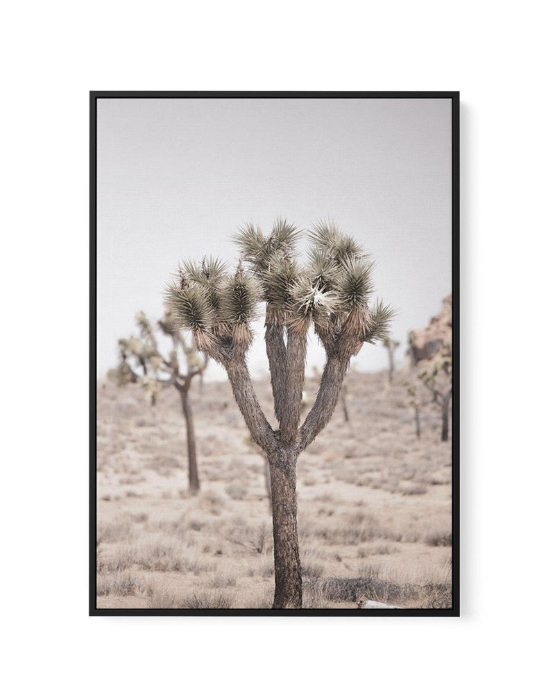 Cool Joshua Tree II | PT | Framed Canvas-CANVAS-You can shop wall art online with Olive et Oriel for everything from abstract art to fun kids wall art. Our beautiful modern art prints and canvas art are available from large canvas prints to wall art paintings and our proudly Australian artwork collection offers only the highest quality framed large wall art and canvas art Australia - You can buy fashion photography prints or Hampton print posters and paintings on canvas from Olive et Oriel and h