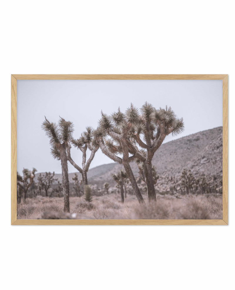 Cool Joshua Tree | LS Art Print-PRINT-Olive et Oriel-Olive et Oriel-A4 | 8.3" x 11.7" | 21 x 29.7cm-Oak-With White Border-Buy-Australian-Art-Prints-Online-with-Olive-et-Oriel-Your-Artwork-Specialists-Austrailia-Decorate-With-Coastal-Photo-Wall-Art-Prints-From-Our-Beach-House-Artwork-Collection-Fine-Poster-and-Framed-Artwork