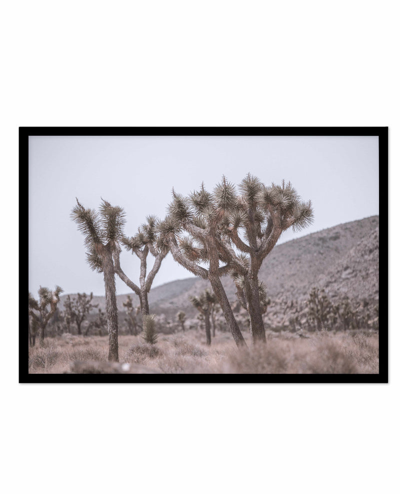 Cool Joshua Tree | LS Art Print-PRINT-Olive et Oriel-Olive et Oriel-A4 | 8.3" x 11.7" | 21 x 29.7cm-Black-With White Border-Buy-Australian-Art-Prints-Online-with-Olive-et-Oriel-Your-Artwork-Specialists-Austrailia-Decorate-With-Coastal-Photo-Wall-Art-Prints-From-Our-Beach-House-Artwork-Collection-Fine-Poster-and-Framed-Artwork