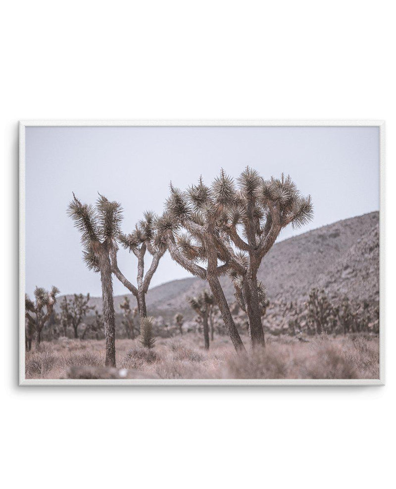 Cool Joshua Tree | LS Art Print-PRINT-Olive et Oriel-Olive et Oriel-A4 | 8.3" x 11.7" | 21 x 29.7cm-Unframed Art Print-With White Border-Buy-Australian-Art-Prints-Online-with-Olive-et-Oriel-Your-Artwork-Specialists-Austrailia-Decorate-With-Coastal-Photo-Wall-Art-Prints-From-Our-Beach-House-Artwork-Collection-Fine-Poster-and-Framed-Artwork