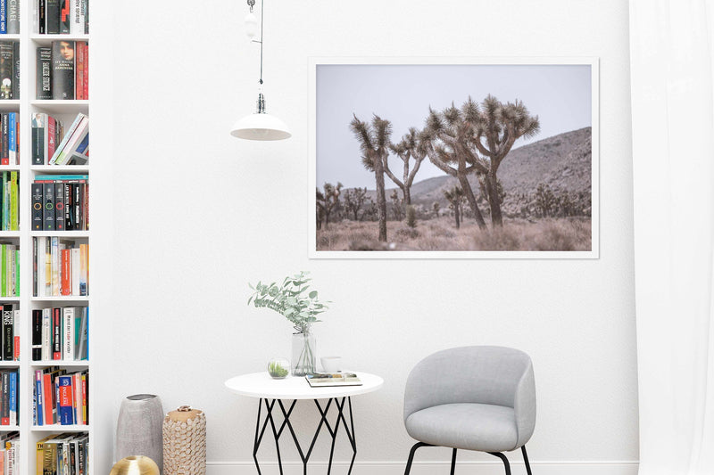 Cool Joshua Tree | LS Art Print-PRINT-Olive et Oriel-Olive et Oriel-Buy-Australian-Art-Prints-Online-with-Olive-et-Oriel-Your-Artwork-Specialists-Austrailia-Decorate-With-Coastal-Photo-Wall-Art-Prints-From-Our-Beach-House-Artwork-Collection-Fine-Poster-and-Framed-Artwork
