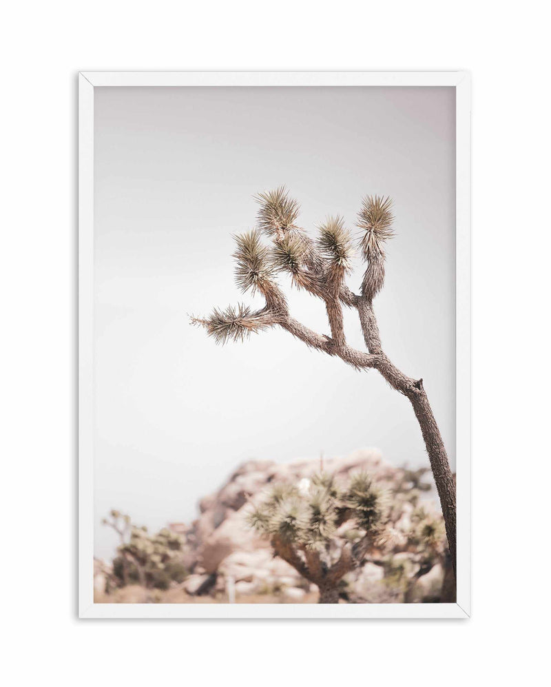 Cool Joshua Tree I | PT Art Print-PRINT-Olive et Oriel-Olive et Oriel-A4 | 8.3" x 11.7" | 21 x 29.7cm-White-With White Border-Buy-Australian-Art-Prints-Online-with-Olive-et-Oriel-Your-Artwork-Specialists-Austrailia-Decorate-With-Coastal-Photo-Wall-Art-Prints-From-Our-Beach-House-Artwork-Collection-Fine-Poster-and-Framed-Artwork