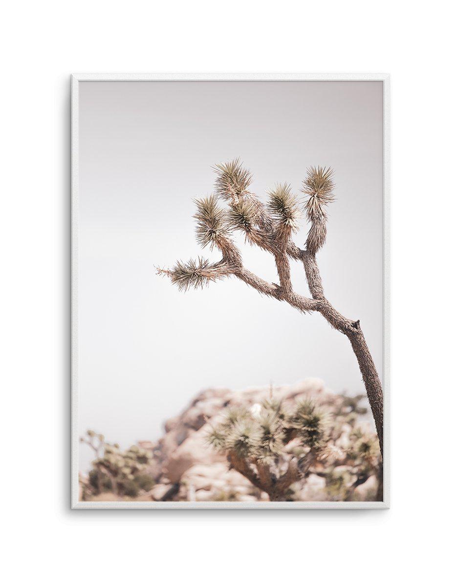 Cool Joshua Tree I | PT Art Print-PRINT-Olive et Oriel-Olive et Oriel-A4 | 8.3" x 11.7" | 21 x 29.7cm-Unframed Art Print-With White Border-Buy-Australian-Art-Prints-Online-with-Olive-et-Oriel-Your-Artwork-Specialists-Austrailia-Decorate-With-Coastal-Photo-Wall-Art-Prints-From-Our-Beach-House-Artwork-Collection-Fine-Poster-and-Framed-Artwork