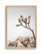 Cool Joshua Tree I | PT Art Print-PRINT-Olive et Oriel-Olive et Oriel-A4 | 8.3" x 11.7" | 21 x 29.7cm-Oak-With White Border-Buy-Australian-Art-Prints-Online-with-Olive-et-Oriel-Your-Artwork-Specialists-Austrailia-Decorate-With-Coastal-Photo-Wall-Art-Prints-From-Our-Beach-House-Artwork-Collection-Fine-Poster-and-Framed-Artwork