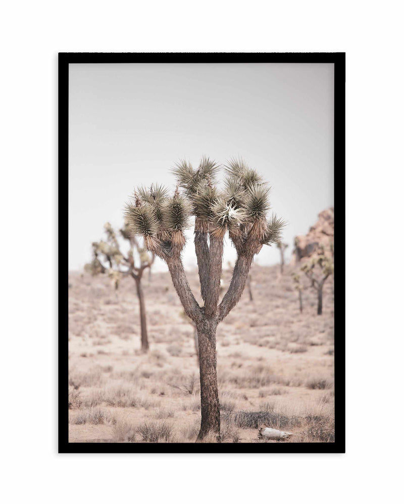 Cool Joshua Tree II | PT Art Print-PRINT-Olive et Oriel-Olive et Oriel-A4 | 8.3" x 11.7" | 21 x 29.7cm-Black-With White Border-Buy-Australian-Art-Prints-Online-with-Olive-et-Oriel-Your-Artwork-Specialists-Austrailia-Decorate-With-Coastal-Photo-Wall-Art-Prints-From-Our-Beach-House-Artwork-Collection-Fine-Poster-and-Framed-Artwork