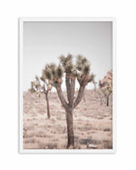 Cool Joshua Tree II | PT Art Print-PRINT-Olive et Oriel-Olive et Oriel-A4 | 8.3" x 11.7" | 21 x 29.7cm-White-With White Border-Buy-Australian-Art-Prints-Online-with-Olive-et-Oriel-Your-Artwork-Specialists-Austrailia-Decorate-With-Coastal-Photo-Wall-Art-Prints-From-Our-Beach-House-Artwork-Collection-Fine-Poster-and-Framed-Artwork