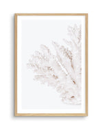 Coral II | Left Art Print-PRINT-Olive et Oriel-Olive et Oriel-A5 | 5.8" x 8.3" | 14.8 x 21cm-Oak-With White Border-Buy-Australian-Art-Prints-Online-with-Olive-et-Oriel-Your-Artwork-Specialists-Austrailia-Decorate-With-Coastal-Photo-Wall-Art-Prints-From-Our-Beach-House-Artwork-Collection-Fine-Poster-and-Framed-Artwork