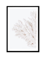 Coral II | Left Art Print-PRINT-Olive et Oriel-Olive et Oriel-A5 | 5.8" x 8.3" | 14.8 x 21cm-Black-With White Border-Buy-Australian-Art-Prints-Online-with-Olive-et-Oriel-Your-Artwork-Specialists-Austrailia-Decorate-With-Coastal-Photo-Wall-Art-Prints-From-Our-Beach-House-Artwork-Collection-Fine-Poster-and-Framed-Artwork