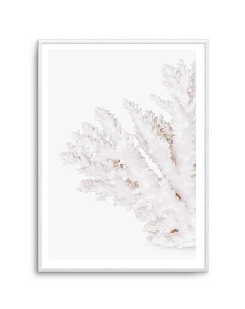 Coral II | Left Art Print-PRINT-Olive et Oriel-Olive et Oriel-A5 | 5.8" x 8.3" | 14.8 x 21cm-Unframed Art Print-With White Border-Buy-Australian-Art-Prints-Online-with-Olive-et-Oriel-Your-Artwork-Specialists-Austrailia-Decorate-With-Coastal-Photo-Wall-Art-Prints-From-Our-Beach-House-Artwork-Collection-Fine-Poster-and-Framed-Artwork