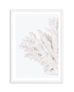 Coral II | Left Art Print-PRINT-Olive et Oriel-Olive et Oriel-A5 | 5.8" x 8.3" | 14.8 x 21cm-White-With White Border-Buy-Australian-Art-Prints-Online-with-Olive-et-Oriel-Your-Artwork-Specialists-Austrailia-Decorate-With-Coastal-Photo-Wall-Art-Prints-From-Our-Beach-House-Artwork-Collection-Fine-Poster-and-Framed-Artwork