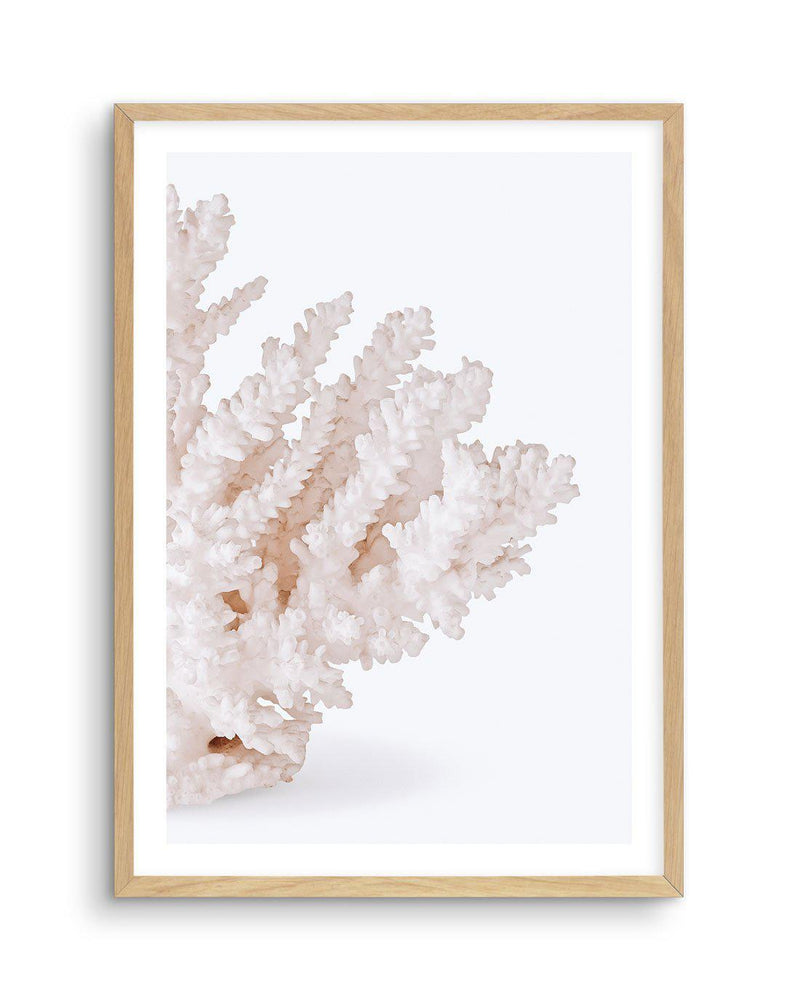 Coral II | Right Art Print-PRINT-Olive et Oriel-Olive et Oriel-A5 | 5.8" x 8.3" | 14.8 x 21cm-Oak-With White Border-Buy-Australian-Art-Prints-Online-with-Olive-et-Oriel-Your-Artwork-Specialists-Austrailia-Decorate-With-Coastal-Photo-Wall-Art-Prints-From-Our-Beach-House-Artwork-Collection-Fine-Poster-and-Framed-Artwork