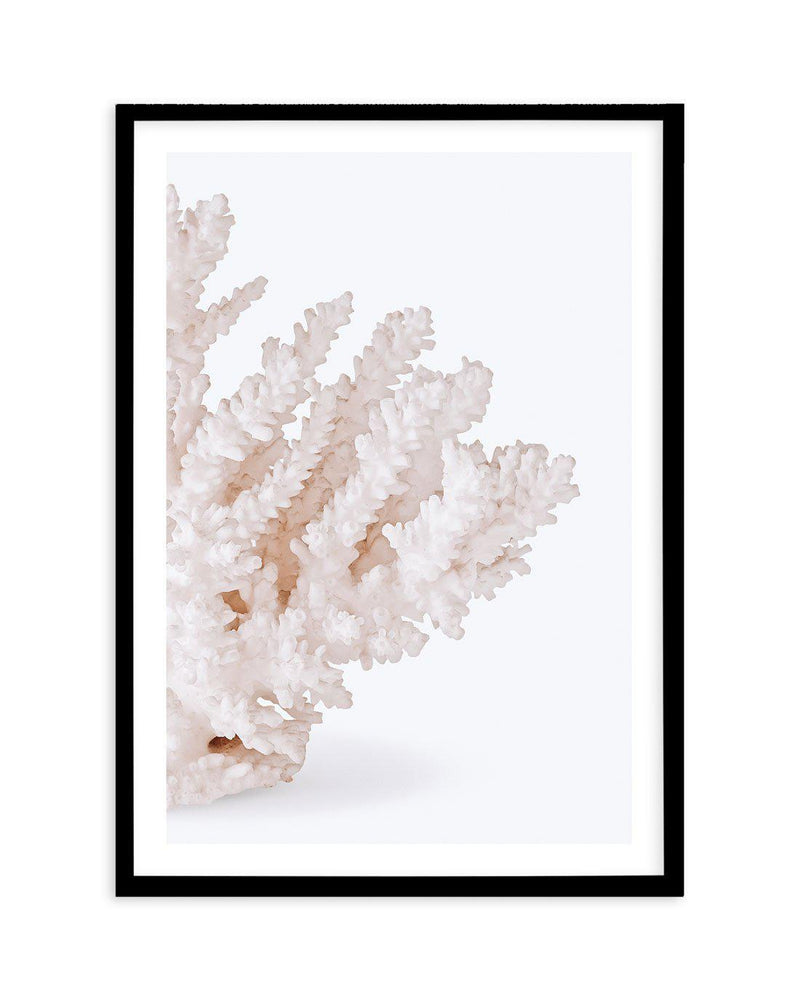 Coral II | Right Art Print-PRINT-Olive et Oriel-Olive et Oriel-A5 | 5.8" x 8.3" | 14.8 x 21cm-Black-With White Border-Buy-Australian-Art-Prints-Online-with-Olive-et-Oriel-Your-Artwork-Specialists-Austrailia-Decorate-With-Coastal-Photo-Wall-Art-Prints-From-Our-Beach-House-Artwork-Collection-Fine-Poster-and-Framed-Artwork