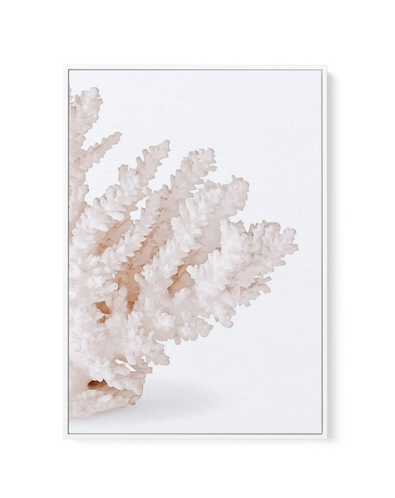 Coral II | Right | Framed Canvas-CANVAS-You can shop wall art online with Olive et Oriel for everything from abstract art to fun kids wall art. Our beautiful modern art prints and canvas art are available from large canvas prints to wall art paintings and our proudly Australian artwork collection offers only the highest quality framed large wall art and canvas art Australia - You can buy fashion photography prints or Hampton print posters and paintings on canvas from Olive et Oriel and have them