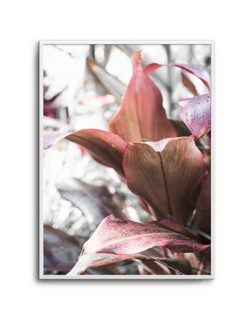 Cordyline Plant Art Print-PRINT-Olive et Oriel-Olive et Oriel-A5 | 5.8" x 8.3" | 14.8 x 21cm-Unframed Art Print-With White Border-Buy-Australian-Art-Prints-Online-with-Olive-et-Oriel-Your-Artwork-Specialists-Austrailia-Decorate-With-Coastal-Photo-Wall-Art-Prints-From-Our-Beach-House-Artwork-Collection-Fine-Poster-and-Framed-Artwork