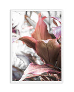 Cordyline Plant Art Print-PRINT-Olive et Oriel-Olive et Oriel-A5 | 5.8" x 8.3" | 14.8 x 21cm-White-With White Border-Buy-Australian-Art-Prints-Online-with-Olive-et-Oriel-Your-Artwork-Specialists-Austrailia-Decorate-With-Coastal-Photo-Wall-Art-Prints-From-Our-Beach-House-Artwork-Collection-Fine-Poster-and-Framed-Artwork