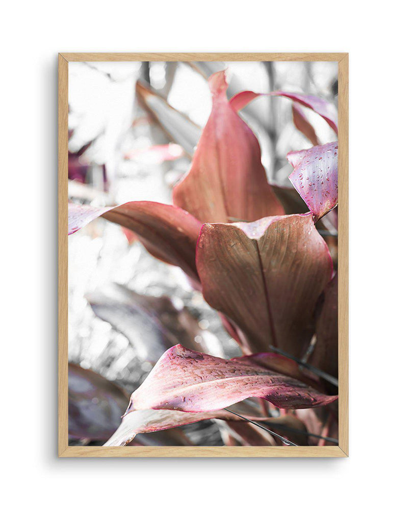 Cordyline Plant Art Print-PRINT-Olive et Oriel-Olive et Oriel-A5 | 5.8" x 8.3" | 14.8 x 21cm-Oak-With White Border-Buy-Australian-Art-Prints-Online-with-Olive-et-Oriel-Your-Artwork-Specialists-Austrailia-Decorate-With-Coastal-Photo-Wall-Art-Prints-From-Our-Beach-House-Artwork-Collection-Fine-Poster-and-Framed-Artwork