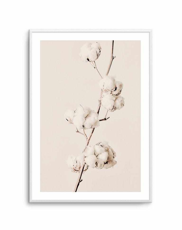 Cotton In Bloom Art Print-PRINT-Olive et Oriel-Olive et Oriel-A5 | 5.8" x 8.3" | 14.8 x 21cm-Unframed Art Print-With White Border-Buy-Australian-Art-Prints-Online-with-Olive-et-Oriel-Your-Artwork-Specialists-Austrailia-Decorate-With-Coastal-Photo-Wall-Art-Prints-From-Our-Beach-House-Artwork-Collection-Fine-Poster-and-Framed-Artwork