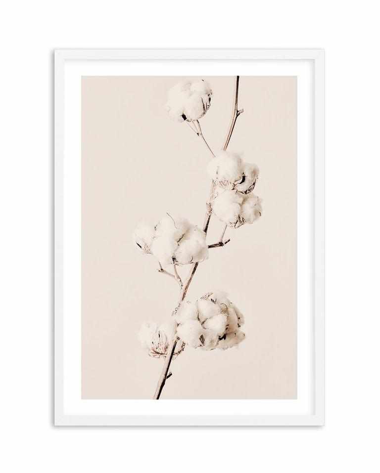 Cotton In Bloom Art Print-PRINT-Olive et Oriel-Olive et Oriel-A5 | 5.8" x 8.3" | 14.8 x 21cm-White-With White Border-Buy-Australian-Art-Prints-Online-with-Olive-et-Oriel-Your-Artwork-Specialists-Austrailia-Decorate-With-Coastal-Photo-Wall-Art-Prints-From-Our-Beach-House-Artwork-Collection-Fine-Poster-and-Framed-Artwork