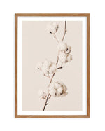 Cotton In Bloom Art Print-PRINT-Olive et Oriel-Olive et Oriel-Buy-Australian-Art-Prints-Online-with-Olive-et-Oriel-Your-Artwork-Specialists-Austrailia-Decorate-With-Coastal-Photo-Wall-Art-Prints-From-Our-Beach-House-Artwork-Collection-Fine-Poster-and-Framed-Artwork