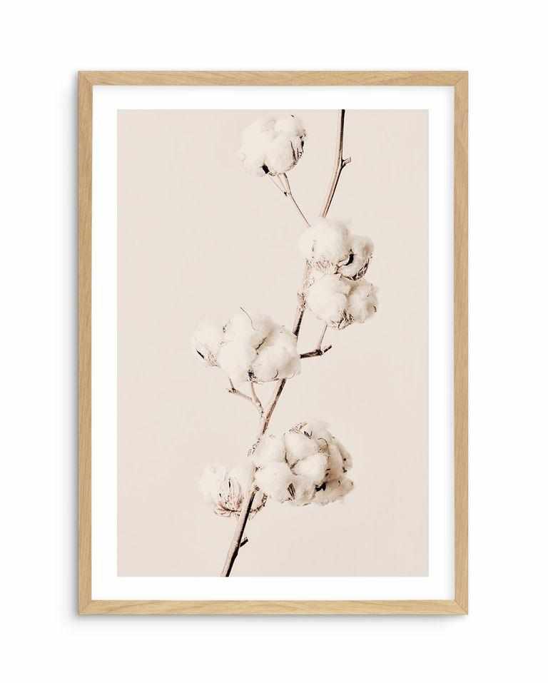 Cotton In Bloom Art Print-PRINT-Olive et Oriel-Olive et Oriel-A5 | 5.8" x 8.3" | 14.8 x 21cm-Oak-With White Border-Buy-Australian-Art-Prints-Online-with-Olive-et-Oriel-Your-Artwork-Specialists-Austrailia-Decorate-With-Coastal-Photo-Wall-Art-Prints-From-Our-Beach-House-Artwork-Collection-Fine-Poster-and-Framed-Artwork