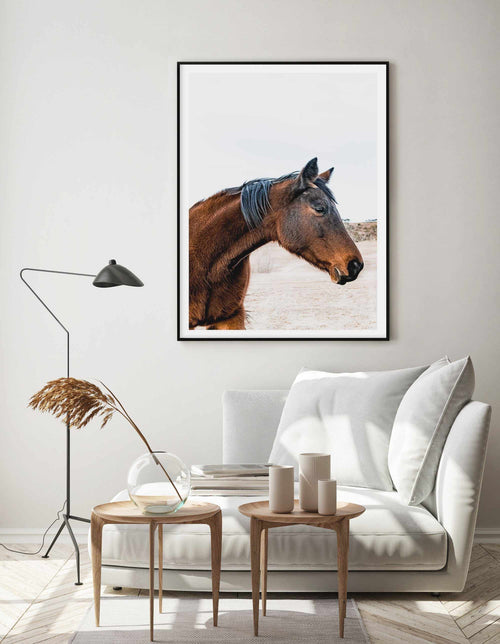 Country Horse Art Print-PRINT-Olive et Oriel-Olive et Oriel-Buy-Australian-Art-Prints-Online-with-Olive-et-Oriel-Your-Artwork-Specialists-Austrailia-Decorate-With-Coastal-Photo-Wall-Art-Prints-From-Our-Beach-House-Artwork-Collection-Fine-Poster-and-Framed-Artwork