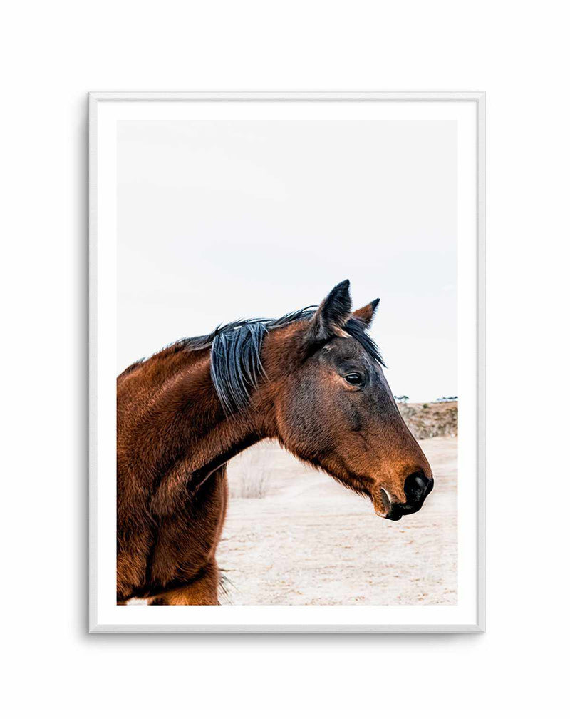 Country Horse Art Print-PRINT-Olive et Oriel-Olive et Oriel-A5 | 5.8" x 8.3" | 14.8 x 21cm-Unframed Art Print-With White Border-Buy-Australian-Art-Prints-Online-with-Olive-et-Oriel-Your-Artwork-Specialists-Austrailia-Decorate-With-Coastal-Photo-Wall-Art-Prints-From-Our-Beach-House-Artwork-Collection-Fine-Poster-and-Framed-Artwork