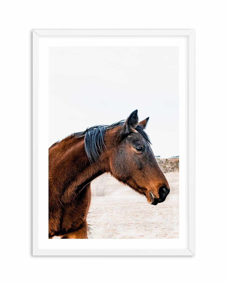 Country Horse Art Print-PRINT-Olive et Oriel-Olive et Oriel-A5 | 5.8" x 8.3" | 14.8 x 21cm-White-With White Border-Buy-Australian-Art-Prints-Online-with-Olive-et-Oriel-Your-Artwork-Specialists-Austrailia-Decorate-With-Coastal-Photo-Wall-Art-Prints-From-Our-Beach-House-Artwork-Collection-Fine-Poster-and-Framed-Artwork