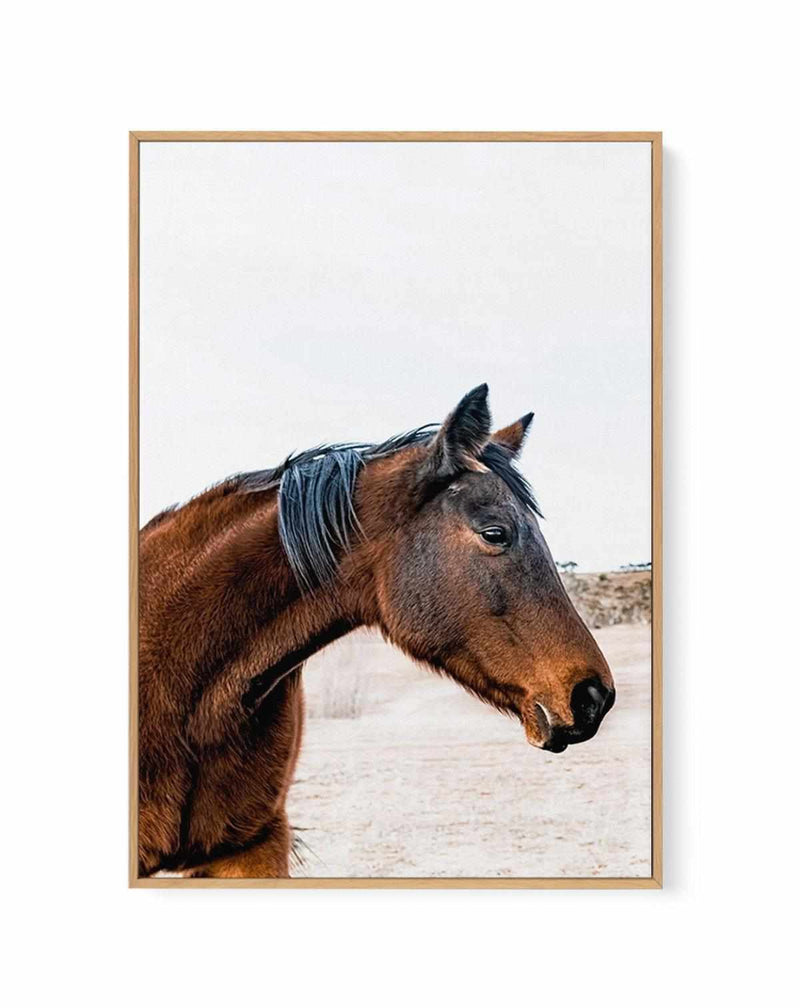 Country Horse | Framed Canvas Art Print
